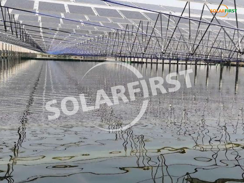 Proyek pelengkap 20mwp fishing-solar di changde, hunan
