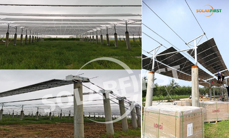 jiangsu hongsi 1mwp dukungan kabel suspensi fleksibel-proyek pelengkap pertanian dan surya
